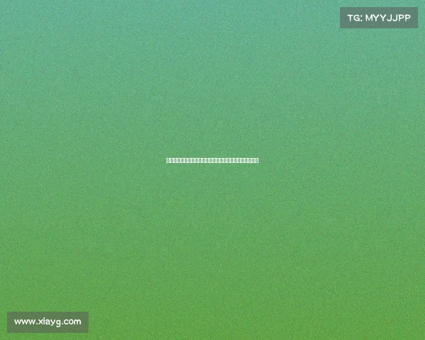 德甲最新赛季战况分析：顶级球队竞技状态及潜力新星崛起